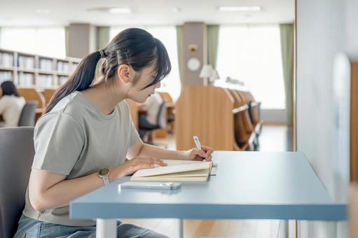勉強する女性 勉強する女性 女性,勉強,学習の写真素材
