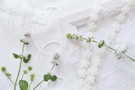 ミントの花 ミントの花 夏,ミント,花の写真素材