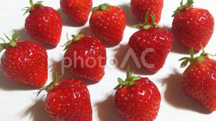 果物43(苺・ゆめのか) 苺,ストロベリー,果物の写真素材