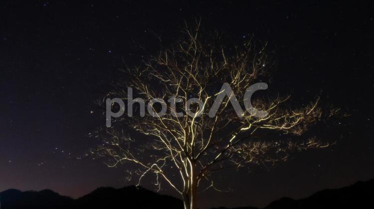 燃える様な木と星空 燃える,木,星空の写真素材
