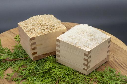 rice, JPG rice, JPG