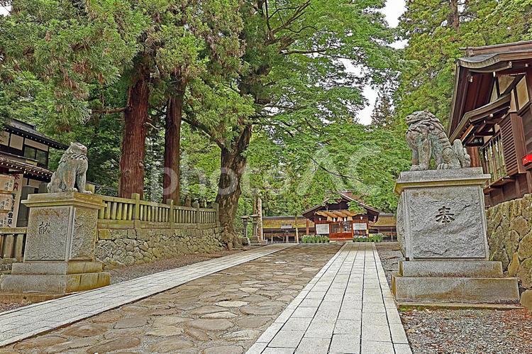 諏訪大社下社春宮（下諏訪） 諏訪大社下社春宮,官弊大社,諏訪大明神の写真素材