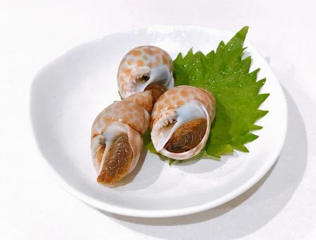 味付けバイ貝 味付けバイ貝,バイ貝,貝の写真素材