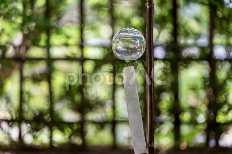 シャボン玉みたいな風鈴と緑の背景 風鈴,夏,自然の写真素材