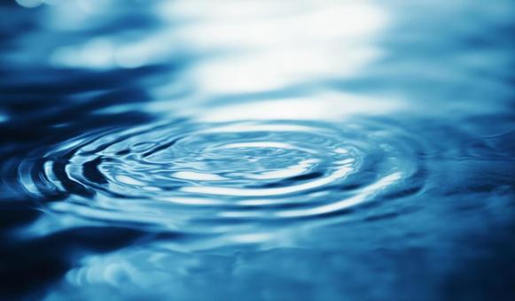 水面 水面の写真