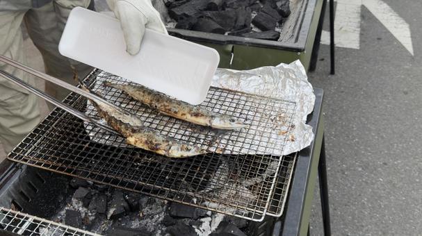 秋の魚 さんま バーベキューの炭焼き 秋の魚 さんま バーベキューの炭焼き さんま,秋刀魚,秋の写真素材