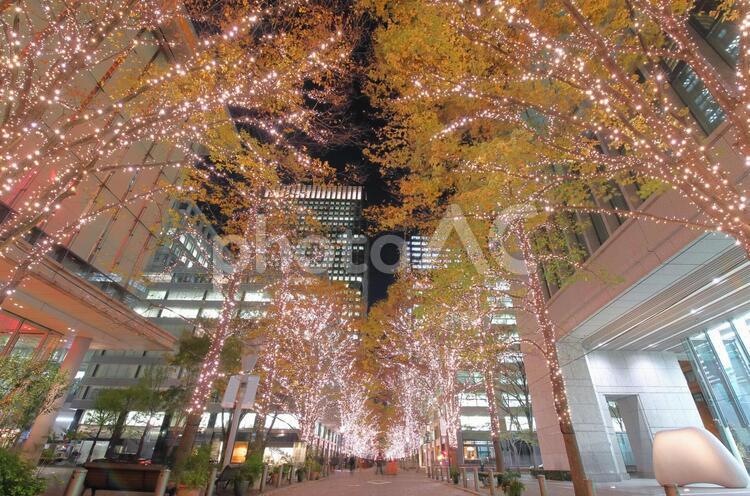 東京　丸の内のクリスマス　イルミネーション 日本,東京,東京都の写真素材