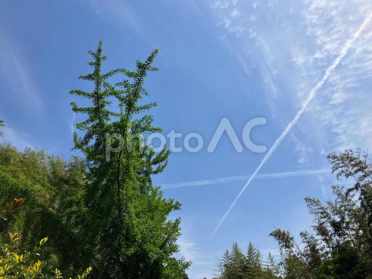 山の上で見る青空に伸びる飛行機雲 天気,屋外で,晴れの写真素材