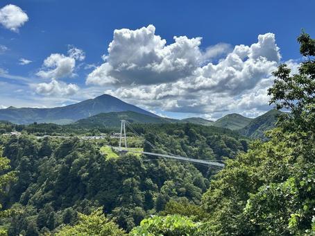 九重夢大吊橋 九重夢大吊橋の写真
