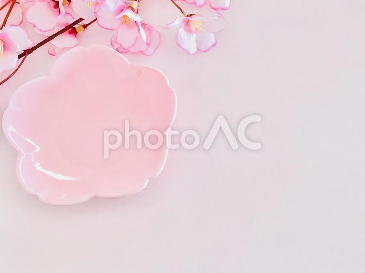 お皿　サクラ サクラ,春,お皿の写真素材