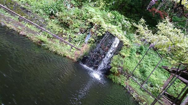 弥彦山山麓の池 弥彦山山麓の池の写真