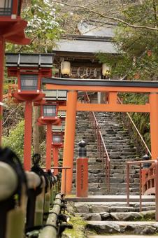 貴船神社の鳥居と石段 貴船神社の鳥居と石段の写真