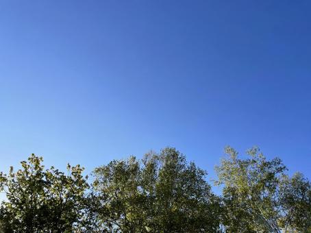 初秋の森と青空02 初秋の森と青空02 秋,森,木々の写真素材