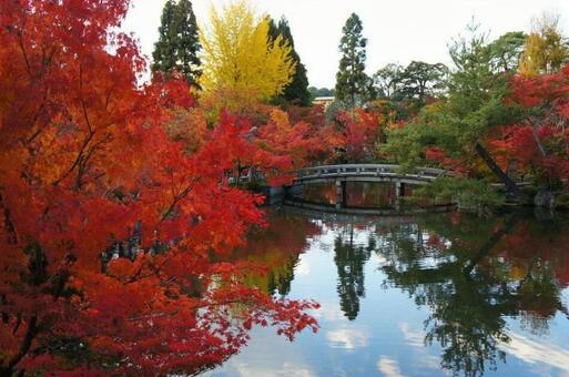 Autumn leaves and a water glass, outdoors, there are not many people, scenic, JPG