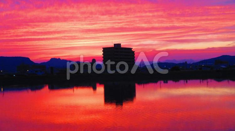 ６月中旬の野田池の朝焼け 朝焼け,日の出,たそがれの写真素材