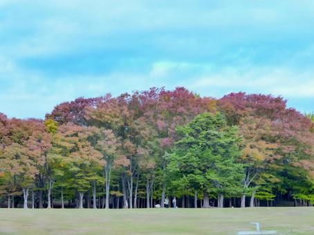 秋の公園の写真