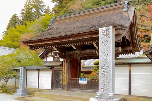 室生寺 室生寺,女人高野,紅葉の写真素材