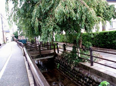 沿著這條路, 川, 盆栽, 沿路, JPG