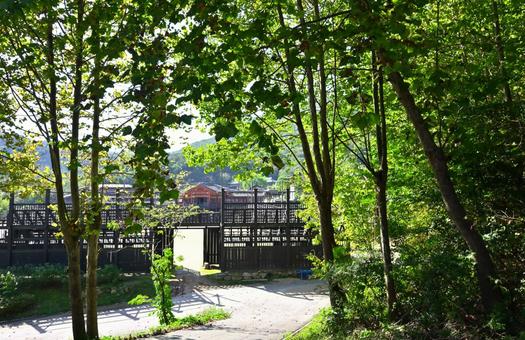 龍仁大長今パーク 龍仁大長今パークの写真