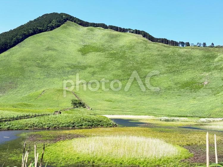 初夏の曾爾高原を彩る緑の絨毯 曾爾高原,奈良,高原の写真素材