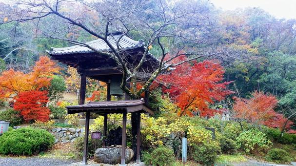 Autumn leaves and bells, JPG