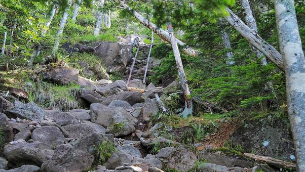 編笠山登山道 編笠山登山道の写真