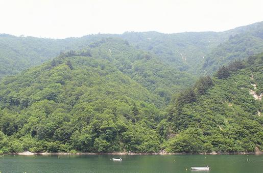 ボートと新緑 ボートと新緑の写真