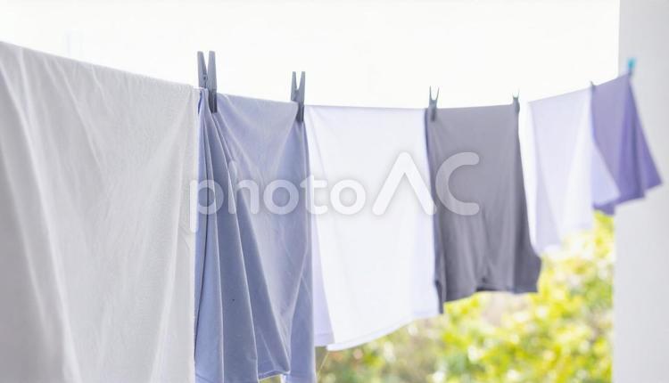 部屋干しの洗濯物 部屋干し,洗濯,洗濯物の写真素材
