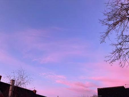 ピンクの空 ピンクの空の写真