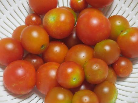 ミニトマトの写真