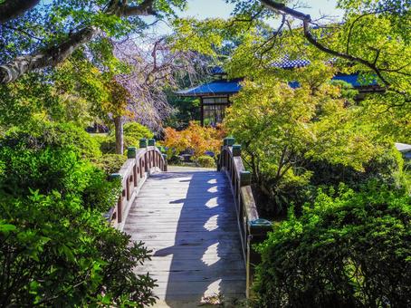 【山口県】下関市・長府庭園 長府庭園,長府,日本庭園の写真素材
