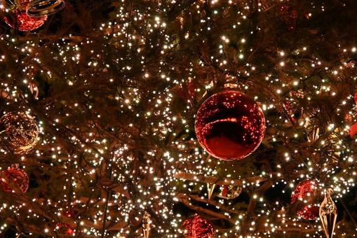 冬_クリスマスイルミネーション 背景,バック,イメージの写真素材