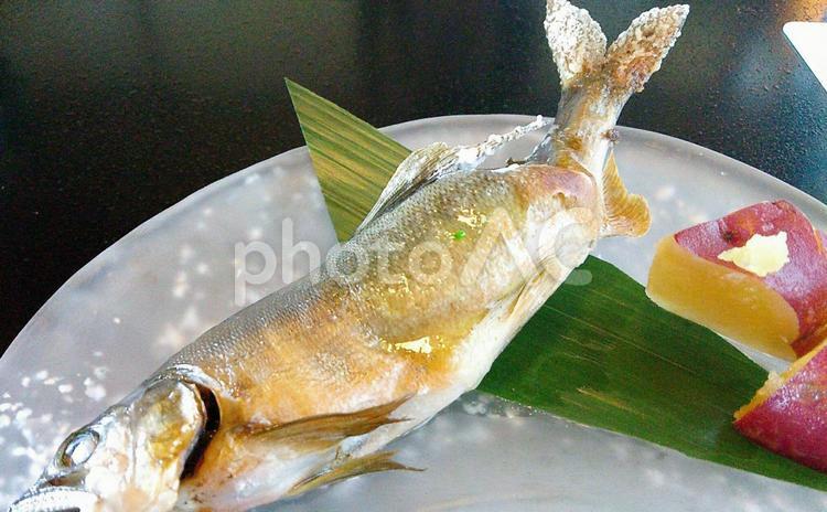 鮎の塩焼き 魚,フード,魚介類の写真素材