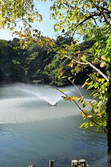 高岡古城公園の初秋 紅葉,葉,植物の写真素材