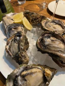 岩牡蠣 岩牡蠣,夏牡蠣,レモンの写真素材