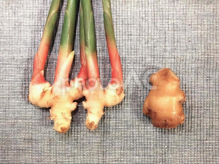 葉生姜と土生姜 葉生姜,谷中生姜,生姜の写真素材