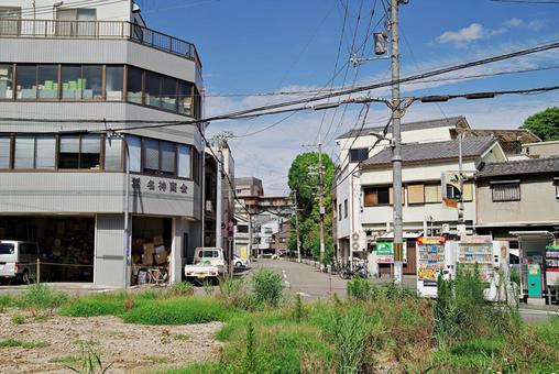 都心住宅街の町角風景 空地,雑草,住宅街の写真素材