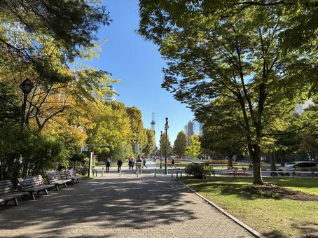 10月下旬の札幌大通公園西6丁目 10月下旬の札幌大通公園西6丁目 札幌,大通公園,公園の写真素材