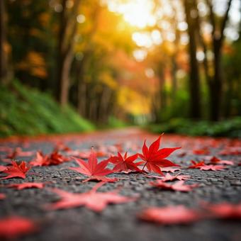 もみじ(落ち葉) もみじ(落ち葉)の写真