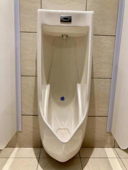 トイレ トイレ トイレ,男子トイレ,公衆トイレの写真素材