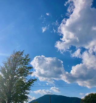 巨人のような雲 雲,巨人みたい,木の写真素材