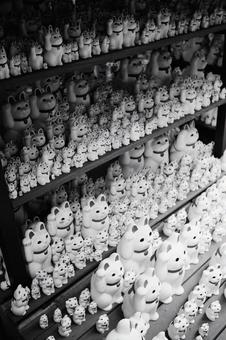 祈願 祈願,招き猫,ネコの写真素材