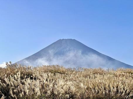 輝くススキと秋の富士山 輝くススキと秋の富士山 富士山,ススキ,秋の写真素材