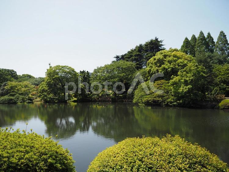 緑の広場　春・夏のイメージ 憩い,木陰,癒やしの写真素材