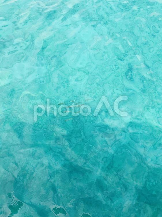 よく見ると魚が！ 青緑色,風合い,パターンの写真素材
