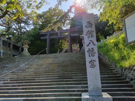 石段の下から見る函館八幡宮 石段の下から見る函館八幡宮 石段,神社,函館市の写真素材