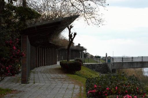 冬の公園の遊歩道 冬の公園の遊歩道の写真