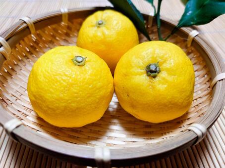 柚子 柚子,ゆず,冬至の写真素材