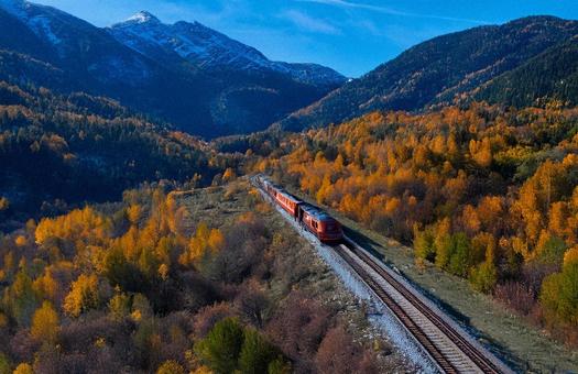 紅葉の中を走る電車 紅葉の中を走る電車の写真