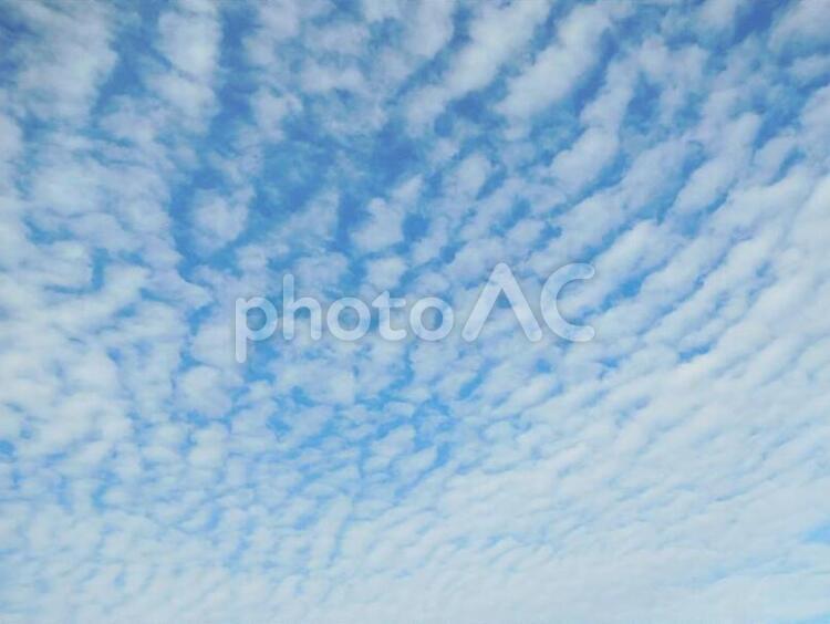 秋の空　いわし雲 秋,秋の空,秋の雲の写真素材